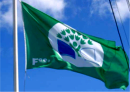 Green School Flag